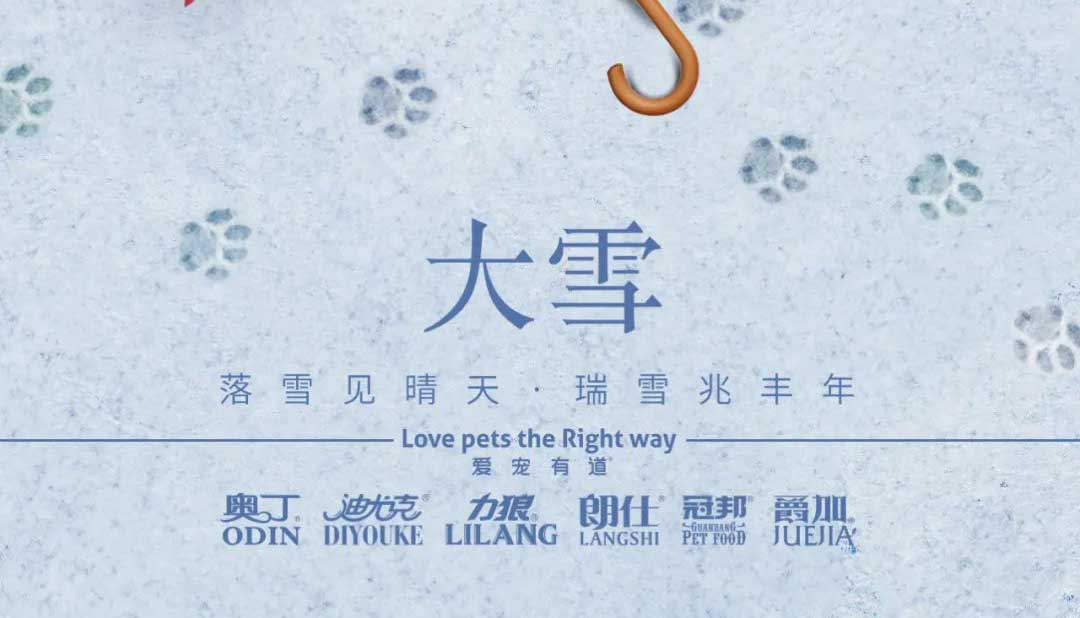 大雪丨雪落知寒意 久伴見(jiàn)初心！